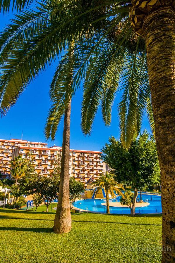706 Minerva Apartamentos - Vista Al Mar Y La Piscina - Piscina Y Playa Бенальмадена Экстерьер фото